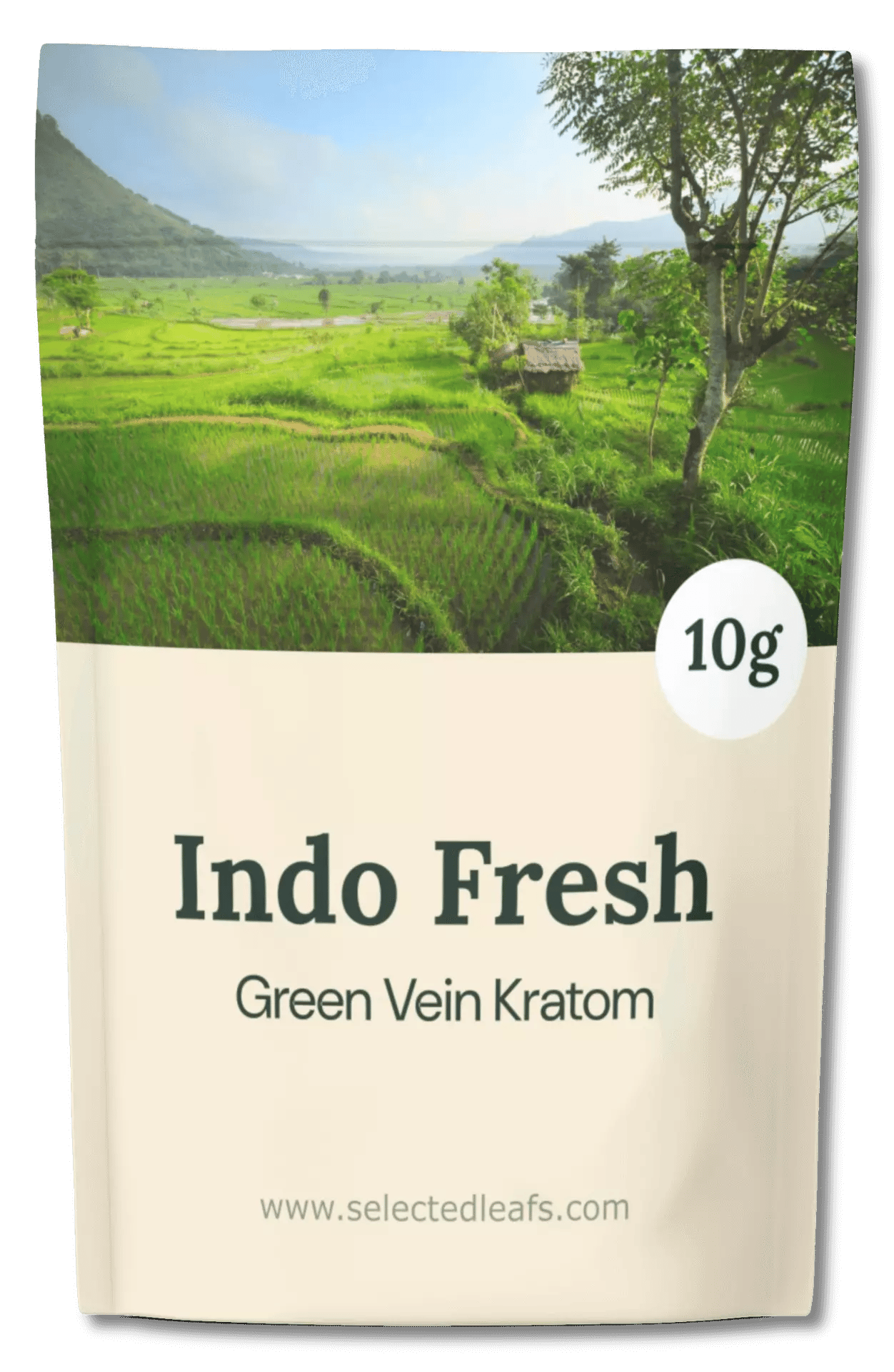 Indo Fresh